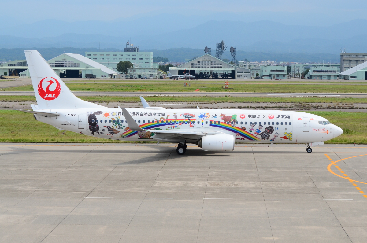 JAL、奄美・沖縄の世界自然遺産登録 特別塗装機投入など取り組み継続