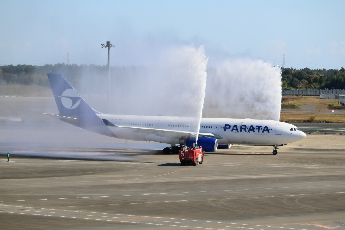 ハワイアン、A330-200 「リロ＆スティッチ」特別塗装機登場！ 作業風景
