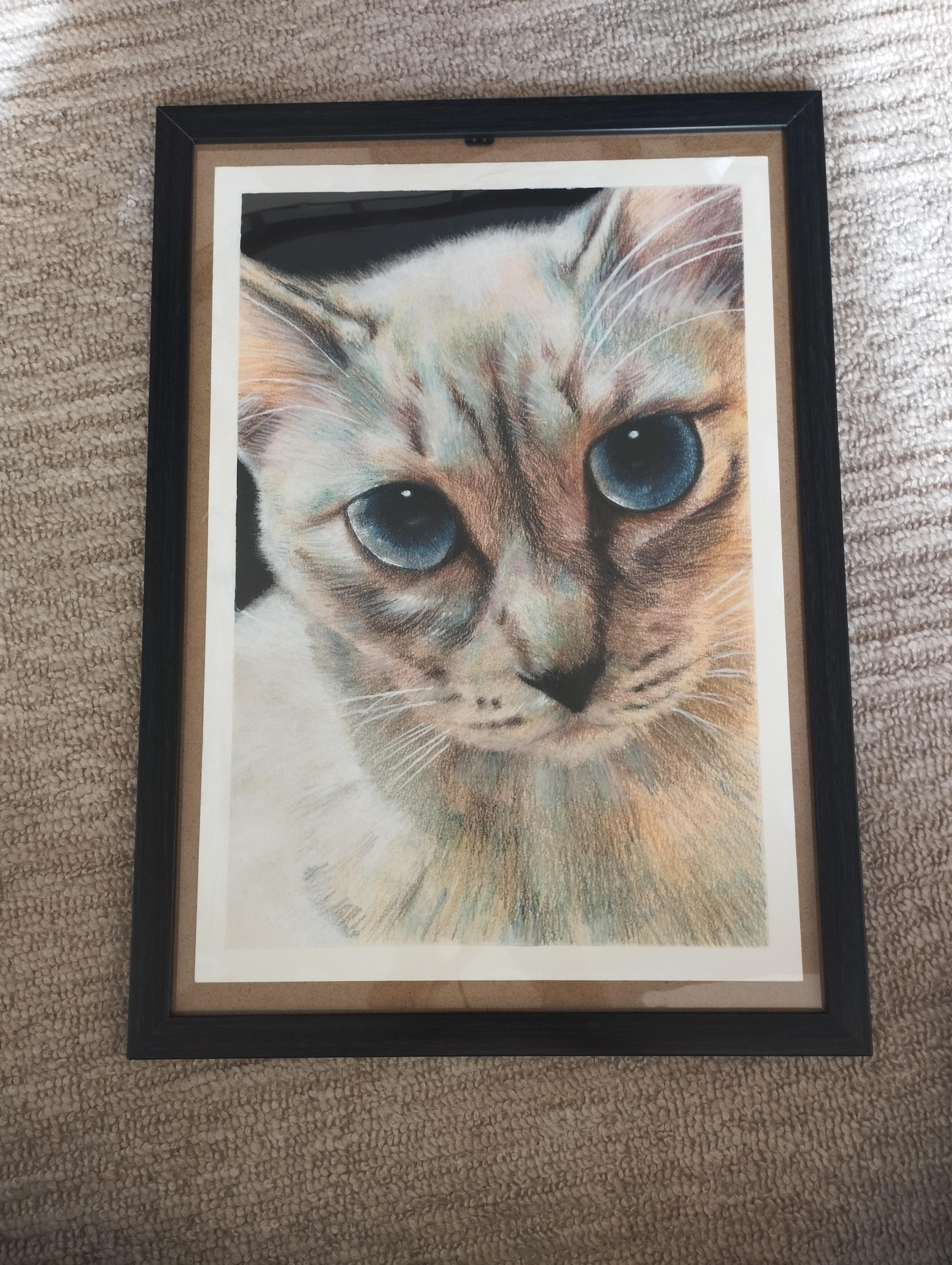 絵画の通販、購入ならFROM ARTIST/作品名：覗き込む猫/作家名：しろまろ