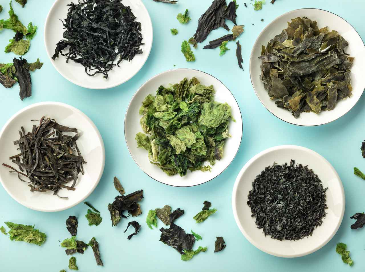 お風呂に海藻を入れる「シーウィード・バス」が海外でブームの予感