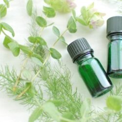 イランイラン精油のブランドランキング(イランイラン・コンプリート