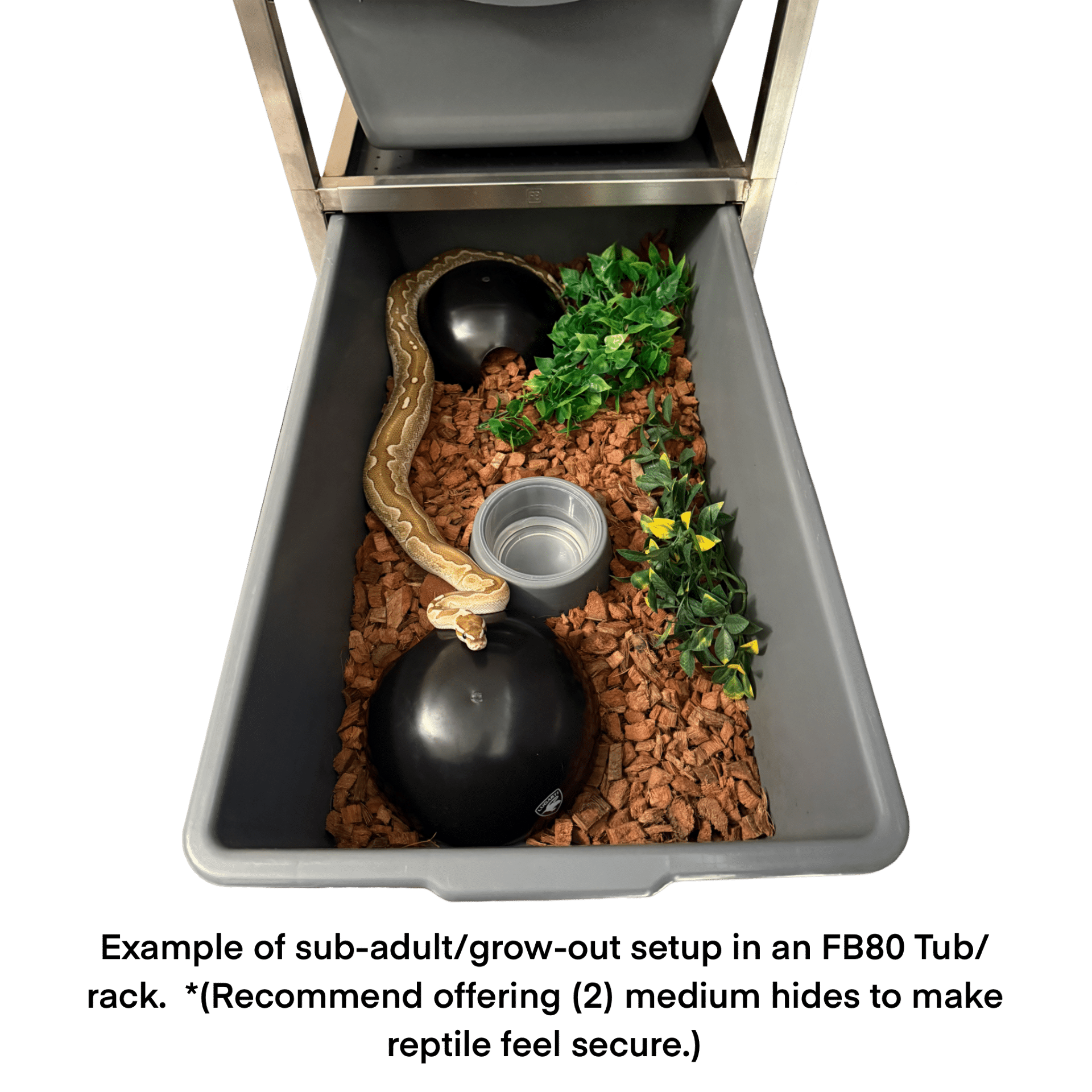 CocoBlox - Premium Coconut Substrate by Freedom Breeder