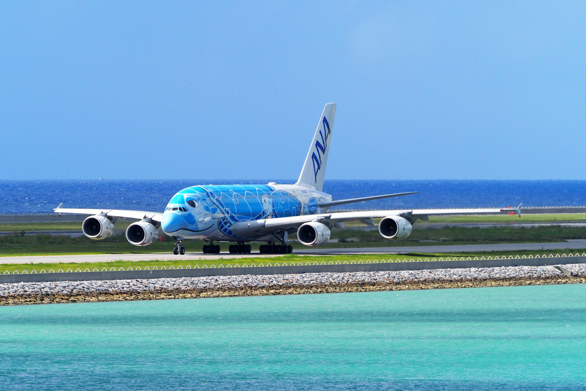 ANAフライング・ホヌ、いよいよ下地島へ！ | FlyTeam ニュース