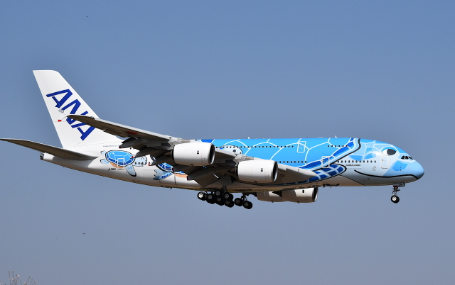 07/21エアバスa380 フライングホヌ／1/150約50cm 07/21エアバスa380