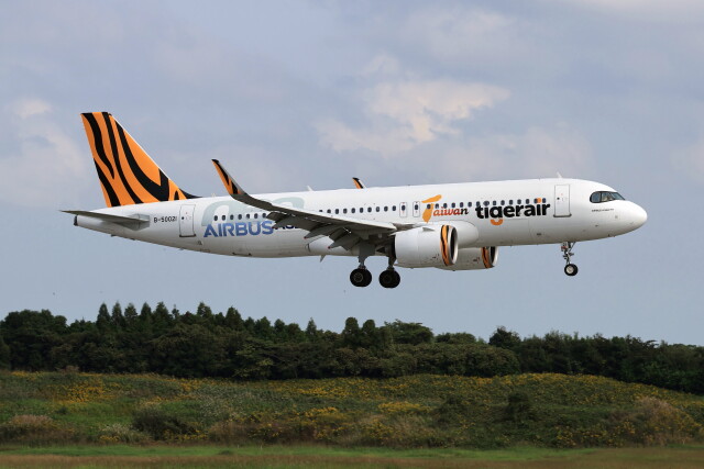 タイガーエア台湾 Airbus A320neo B-50021 成田空港 航空フォト | by