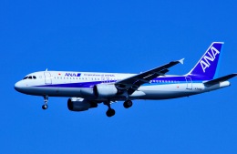 機体記号 : JA8946 (ANA) 航空機体ガイド | FlyTeam(フライチーム)