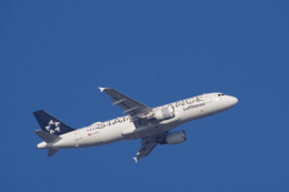 スターアライアンス」特別塗装機 ルフトハンザドイツ航空 (A320 | D