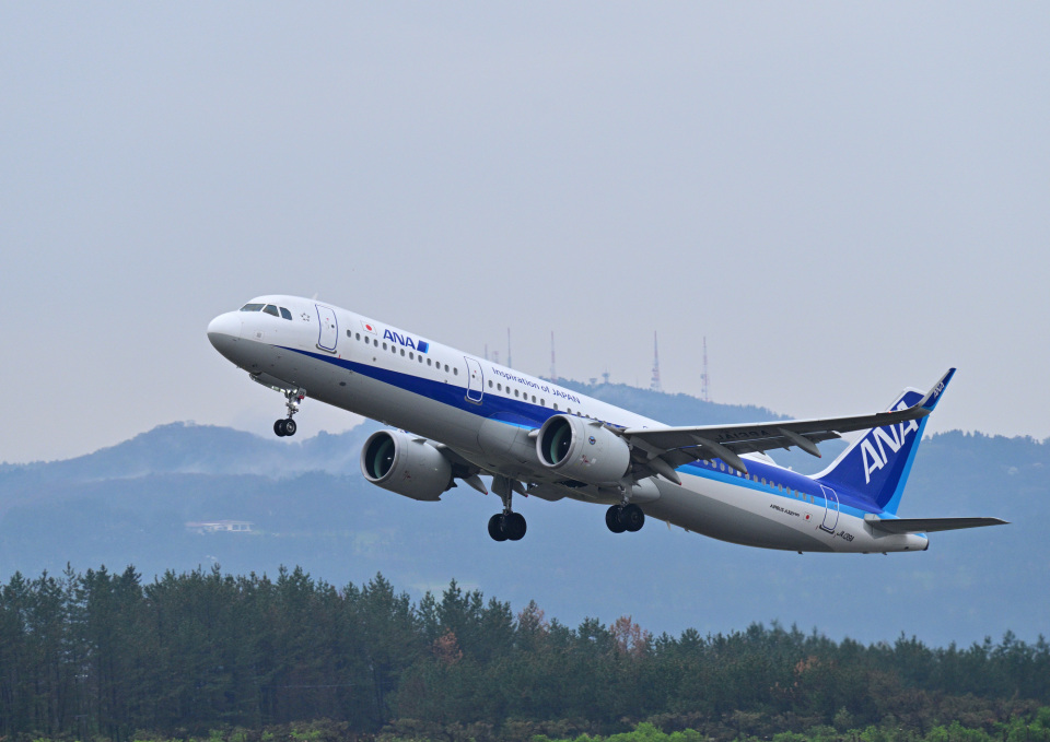 庄内空港ビル創立30周年 まめうさジェット エアバスA321 neo 1/150