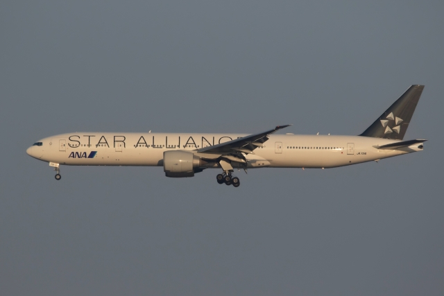 スターアライアンス」特別塗装機 全日空 (777-300 | JA731A) ガイド