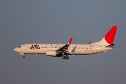 JALエクスプレス 機材一覧 ボーイング737-800 | FlyTeam(フライチーム)