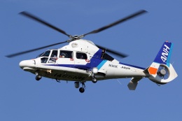 機体記号 : JA65NH (オールニッポンヘリコプター) 札幌飛行場 航空