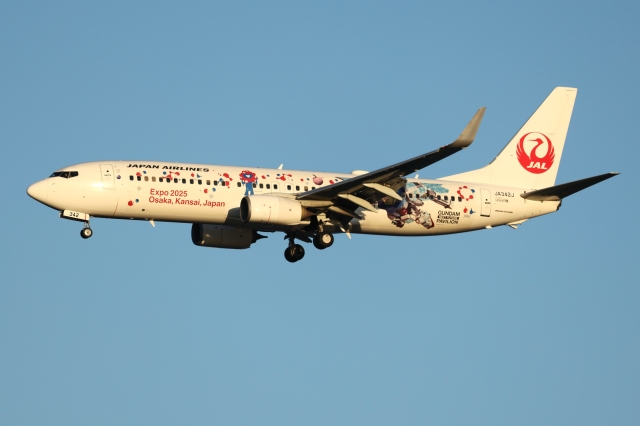 JAL (日本航空) 機材一覧 ボーイング737-800 | FlyTeam(フライチーム)