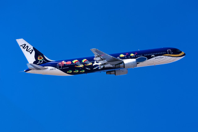 マリンジャンボJr.」特別塗装機 全日空 (767-300 | JA8579) ガイド