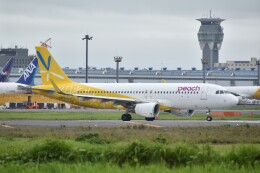 バニラエア Fly Peach to AMAMI」特別塗装機 ピーチ (A320 | JA08VA