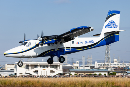 八尾空港 バイキング DHC-6 ツイン・オッター 航空フォト(飛行機 写真