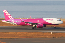 ピーチ 機材一覧 | FlyTeam(フライチーム)