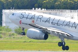 スターアライアンス」特別塗装機 中国国際航空 (A330-200 | B-6093