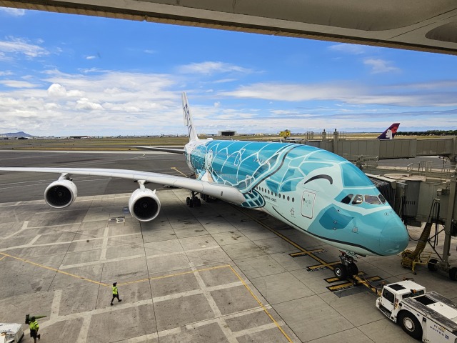 フライングホヌ カイ/2号機」特別塗装機 全日空 (A380 | JA382A