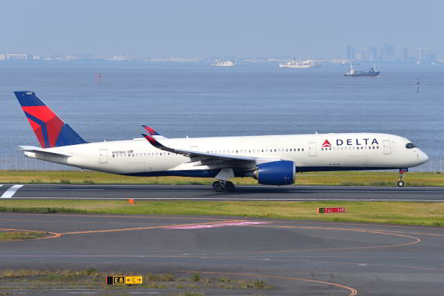 DL デルタ航空 2ミリオンマイラー 荷札1枚。2枚ご希望の方はお申し出