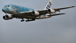 10/20までじんさん専用 フライングホヌ／グリーン発光1/150 10/20まで