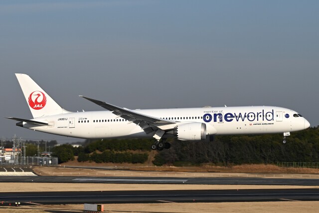 ワンワールド」特別塗装機 日本航空 (787-9 | JA861J) ガイド| FlyTeam