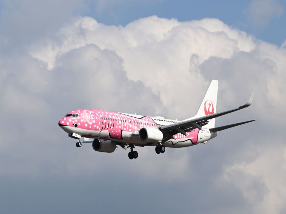 日本トランスオーシャン航空 Boeing 737-800 JA06RK 福岡空港 航空