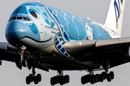 フライングホヌ ラニ/1号機」特別塗装機 全日空 (A380 | JA381A