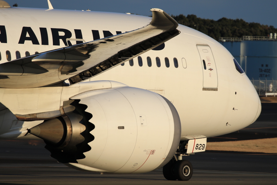 日本航空 Boeing 787-8 Dreamliner JA829J 成田空港 航空フォト | by