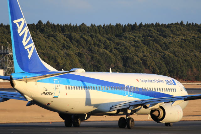 ANA (全日空) 機材一覧 ボーイング737-800 | FlyTeam(フライチーム)
