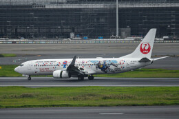 JALガンダムJET」特別塗装機 日本航空 (737-800 | JA342J) ガイド