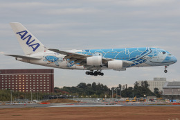 フライングホヌ ラニ/1号機」特別塗装機 全日空 (A380 | JA381A