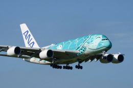 フライングホヌ カイ/2号機」特別塗装機 全日空 (A380 | JA382A