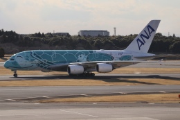 フライングホヌ カイ/2号機」特別塗装機 全日空 (A380 | JA382A