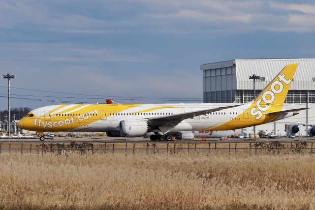 成田空港 エアバスA310-300 航空フォト(飛行機 写真・画像) | FlyTeam