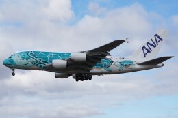 フライングホヌ カイ/2号機」特別塗装機 全日空 (A380 | JA382A