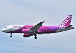 みんなで頑張るばい！くまモン号」特別塗装機 ソラシド エア (737-800