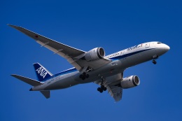 機体記号 : JA810A (ANA) 航空フォト(飛行機 写真・画像) | FlyTeam
