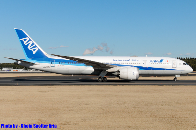 成田空港 エアバスA310 航空フォト(飛行機 写真・画像) | FlyTeam