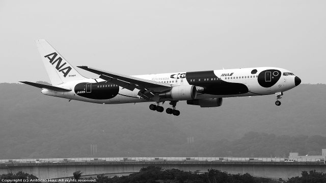 FLY!パンダ」特別塗装機 全日空 (767-300 | JA606A) ガイド| FlyTeam