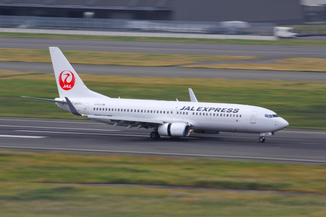 東京2020大会」特別塗装機 日本航空 (737-800 | JA350J) ガイド