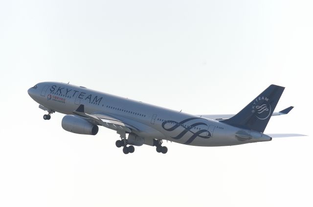 スカイチーム」特別塗装機 中国東方航空 (A330-200 | B-5908) ガイド