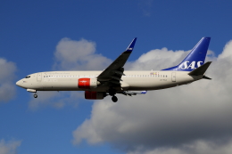 スカンジナビア(SAS)航空 機材一覧 ボーイング737-800 | FlyTeam