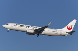 機体記号 : JA308J (JAL) 航空機体ガイド | FlyTeam(フライチーム)