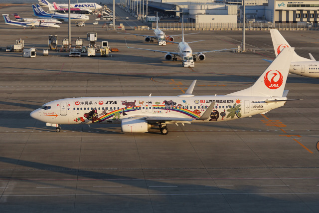 奄美・沖縄 世界自然遺産」特別塗装機 日本トランスオーシャン航空