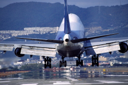 機体記号 : JA8146 (ANA) 航空フォト(飛行機 写真・画像) | FlyTeam
