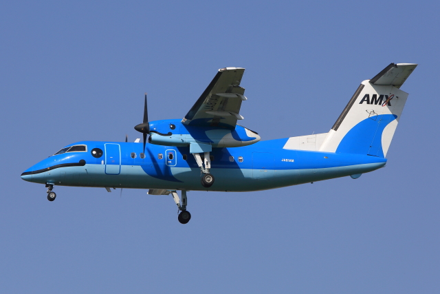 機体記号 : JA81AM (AMX) 航空機体ガイド | FlyTeam(フライチーム)