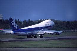 機体記号 : JA8146 (ANA) 航空フォト(飛行機 写真・画像) | FlyTeam