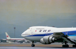 機体記号 : JA8146 (ANA) 航空機体ガイド | FlyTeam(フライチーム)