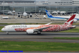 Yam Dreaming」特別塗装機 カンタス航空 (787-9 | VH-ZND) ガイド