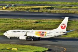 機体記号 : JA11RK (JTA) 特別塗装機「奄美・沖縄 世界自然遺産 2019